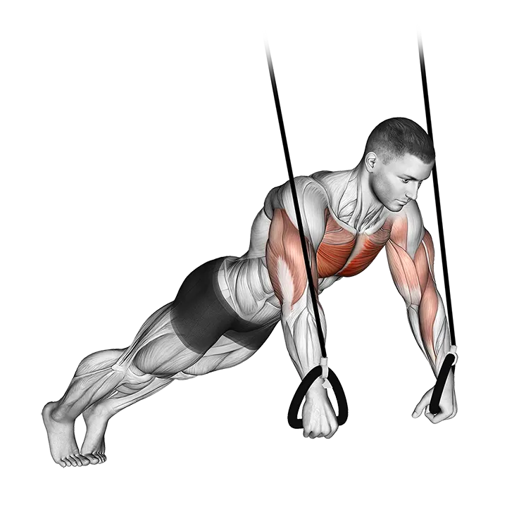 Suspended Push-Up exercise animation (Male)