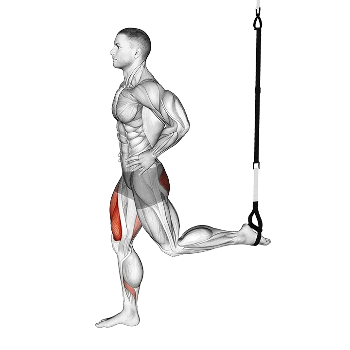 Suspended Split Squat exercise animation (Male)