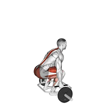 Trap Bar Deadlift