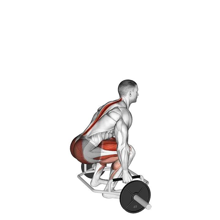 Trap Bar Deadlift exercise animation (Male)