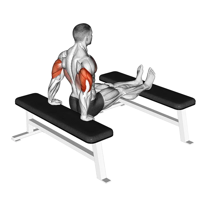 Triceps Dip (bench leg) exercise animation (Male)