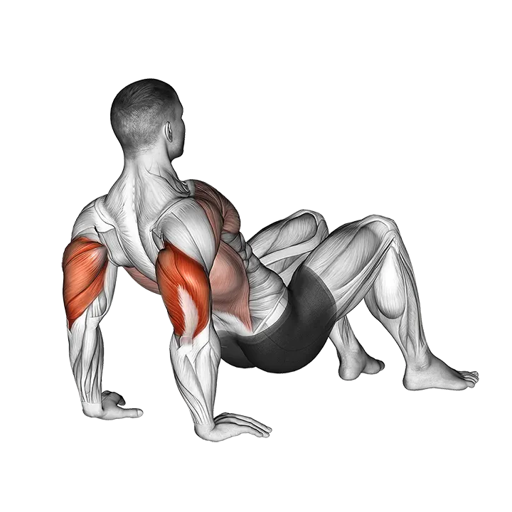 Triceps Dips Floor exercise animation (Male)