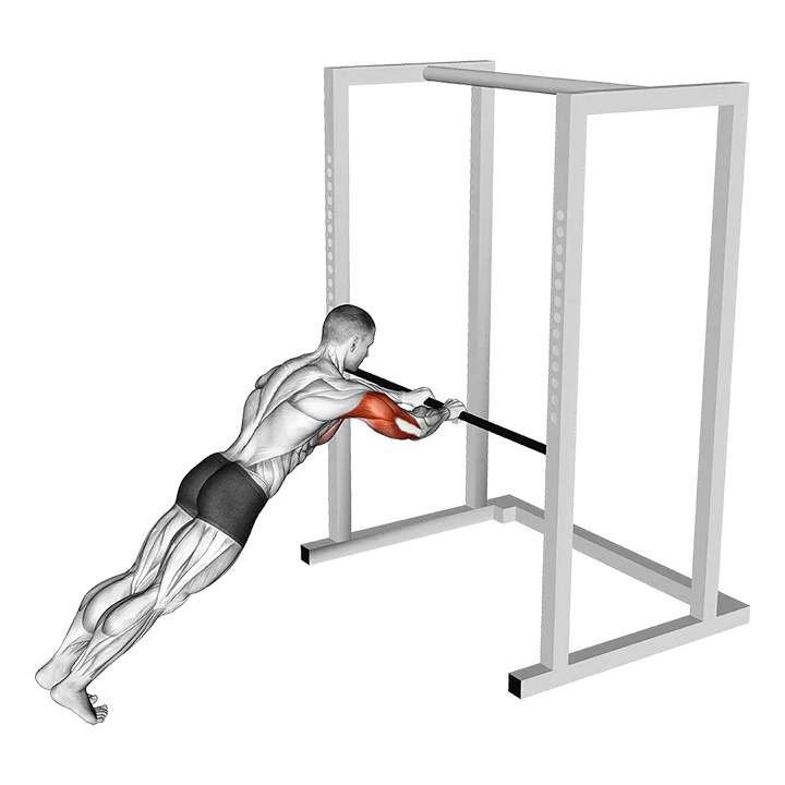 Triceps Press exercise animation (Male)