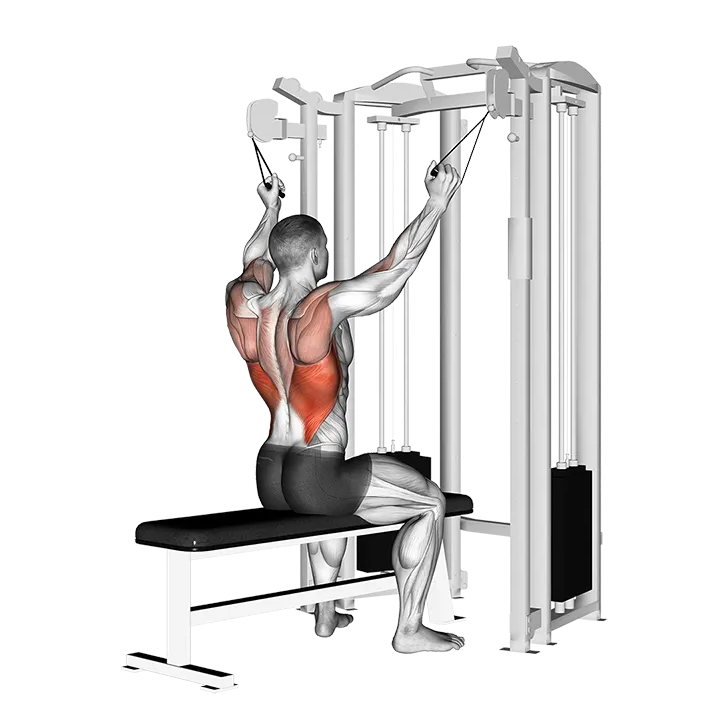Twin handle parallel grip lat pulldown exercise animation (Male)