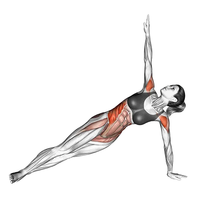 Twist Side Bridge exercise animation (Female)