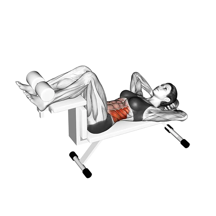 Twisting Crunch exercise animation (Female)