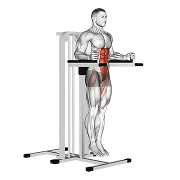 Vertical Leg Raise (on parallel bars)