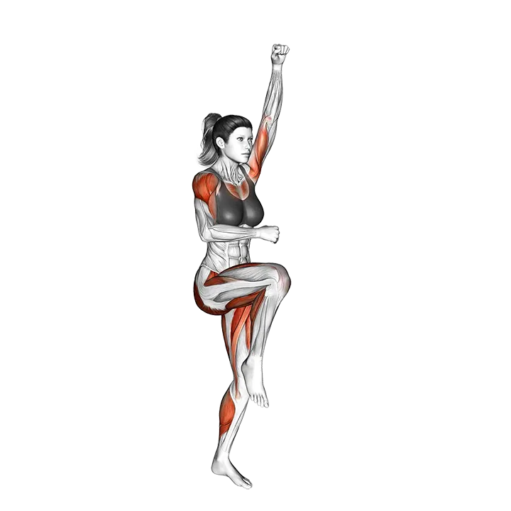 Vertical Mountain Climber exercise animation (Female)