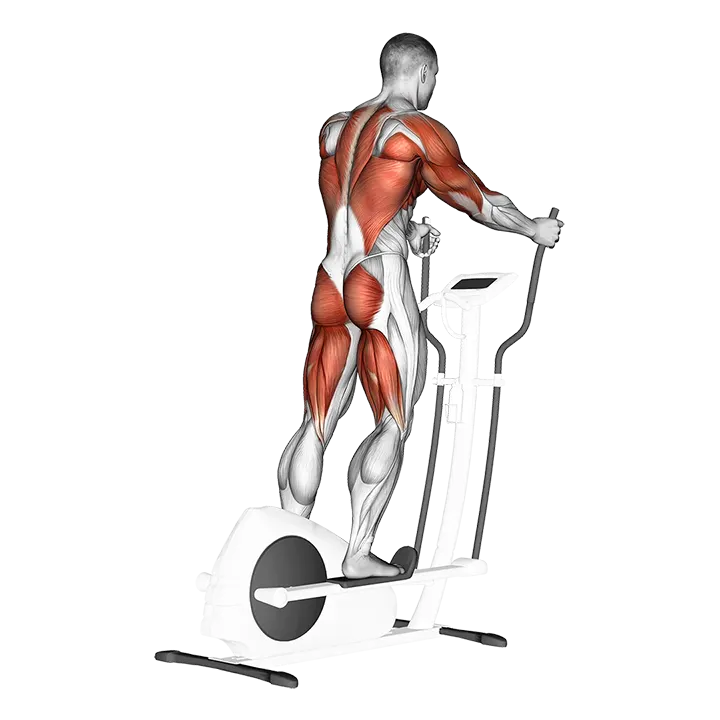 Walk (equipment) exercise animation (Male)