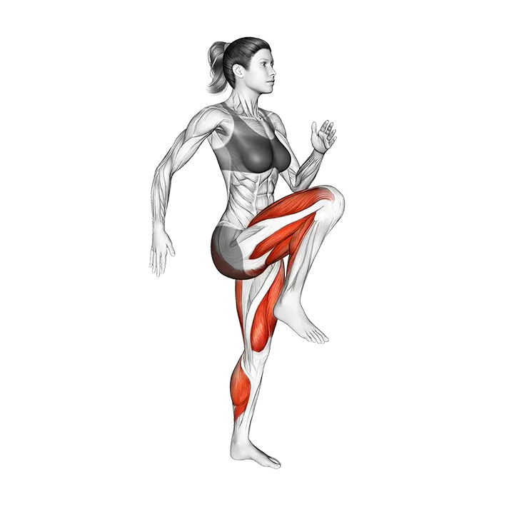 Walk (high knees) exercise animation (Female)