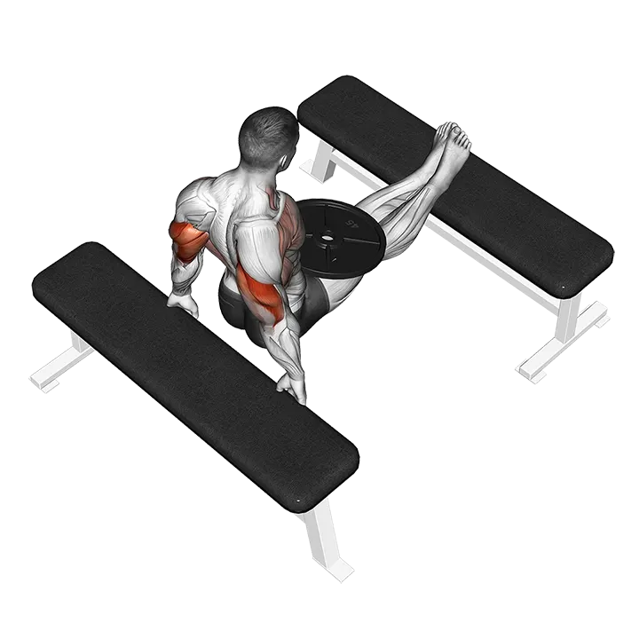 Weighted Bench Dip exercise animation (Male)