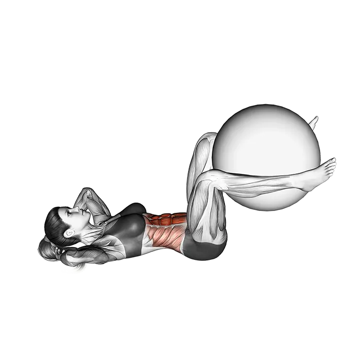 Weighted Crunch (bent knee) exercise animation (Female)