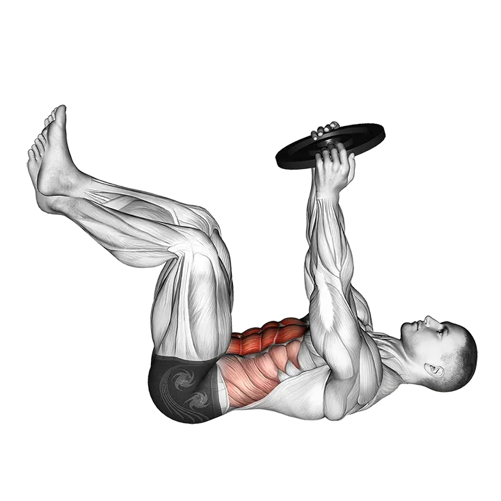 Weighted Crunch exercise animation (Male)