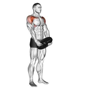 Weighted Front Raise