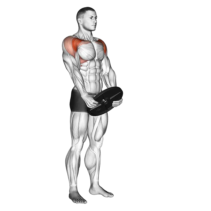 Weighted Front Raise exercise animation (Male)