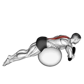Weighted Hyperextension (on stability ball)
