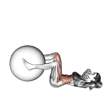 Weighted Leg Extension Crunch