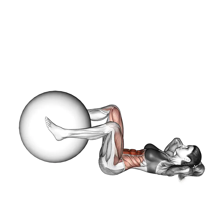 Weighted Leg Extension Crunch exercise animation (Female)