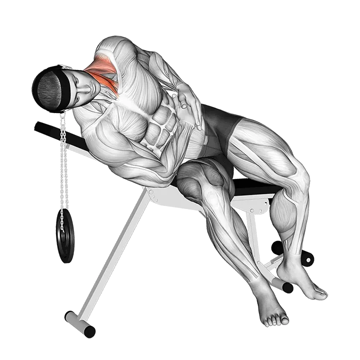 Weighted Lying Side Lifting Head (with head harness) exercise animation (Male)