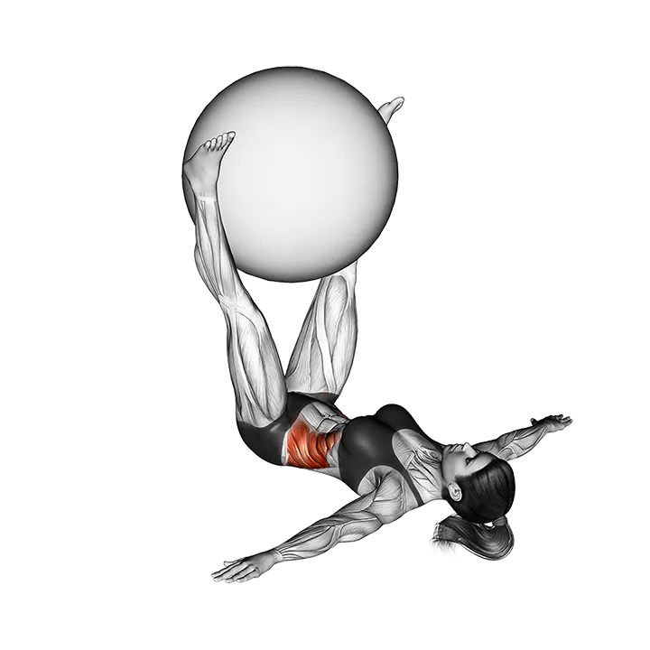 Weighted Lying Twist exercise animation (Female)