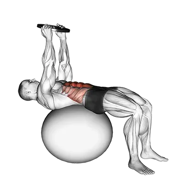 Weighted Overhead Crunch (on stability ball)
