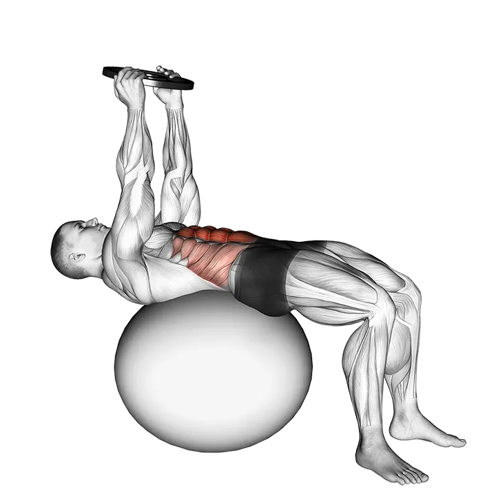 Weighted Overhead Crunch (on stability ball) exercise animation (Male)