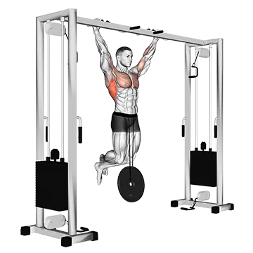 Weighted Pull-Up