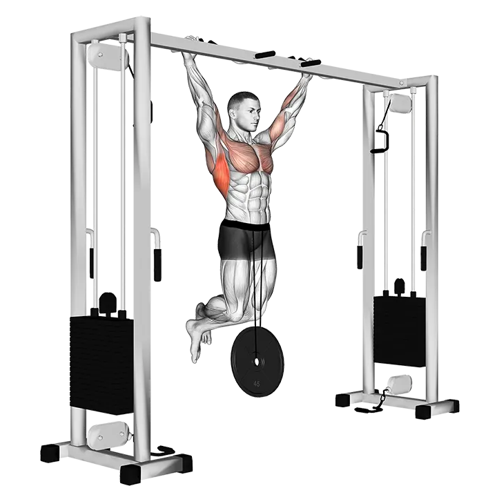 Weighted Pull-Up exercise animation (Male)