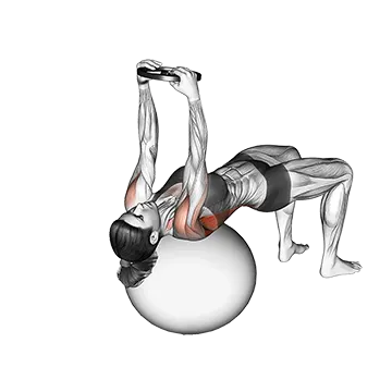 Weighted Pullover (on stability ball)