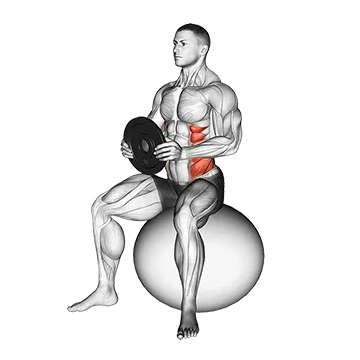 Weighted Seated Twist (on stability ball)