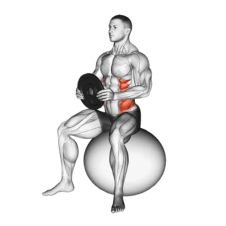 Weighted Seated Twist (on stability ball) exercise animation (Male)