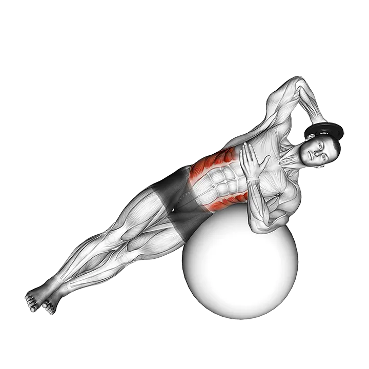 Weighted Side Bend (on stability ball) exercise animation (Hombre)