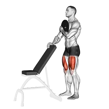 Weighted Sissy Squat