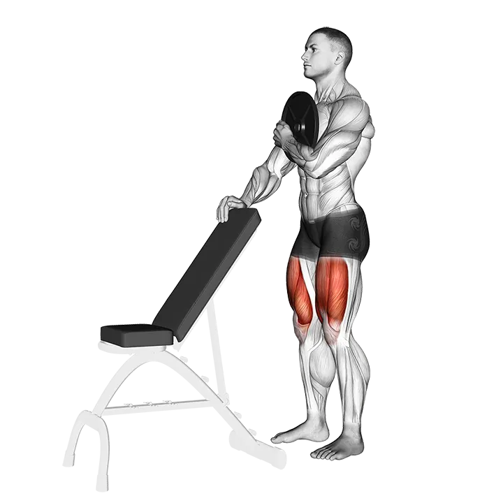 Weighted Sissy Squat exercise animation (Male)