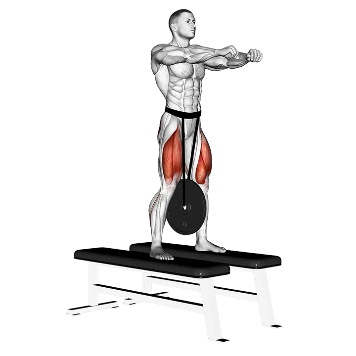 Weighted Squat exercise animation (Male)