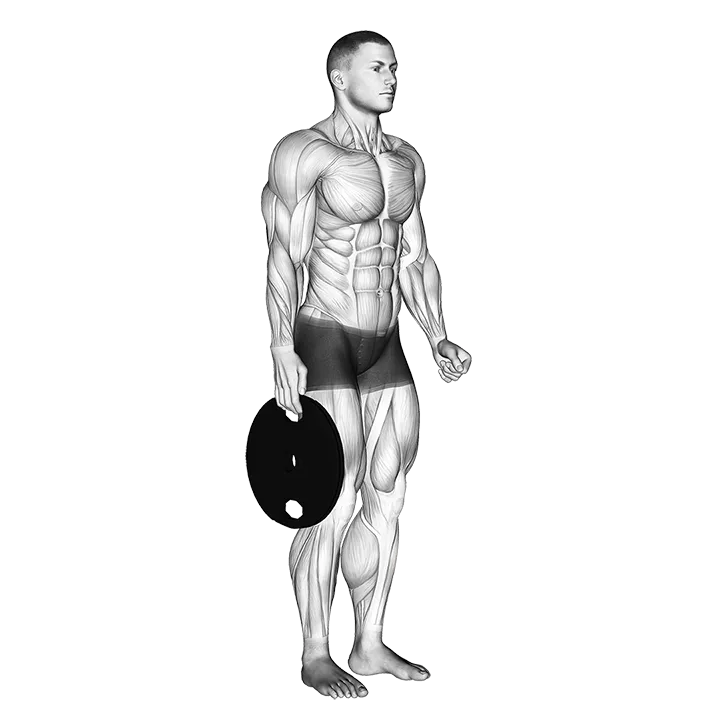 Weighted Standing Hand Squeeze exercise animation (Male)
