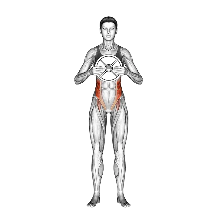 Weighted Standing Twist exercise animation (Female)