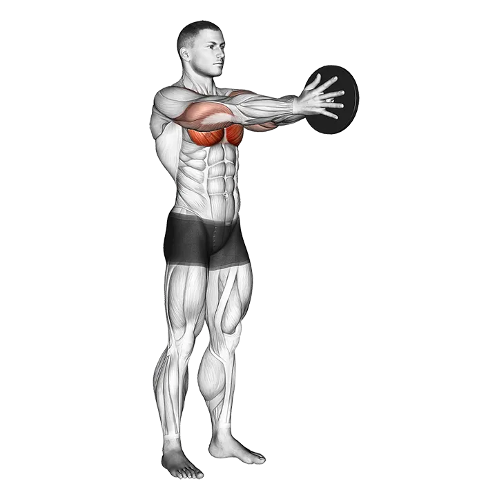 Weighted Svend Press exercise animation (Male)