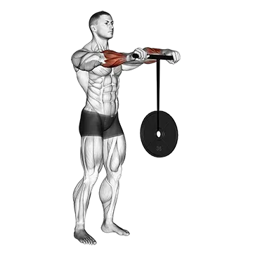 Wrist Roller