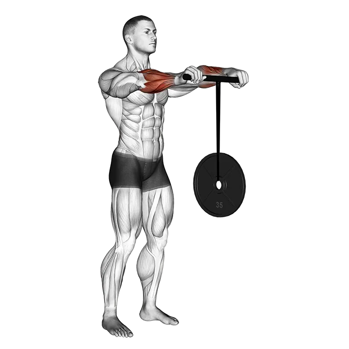 Wrist Roller exercise animation (Male)