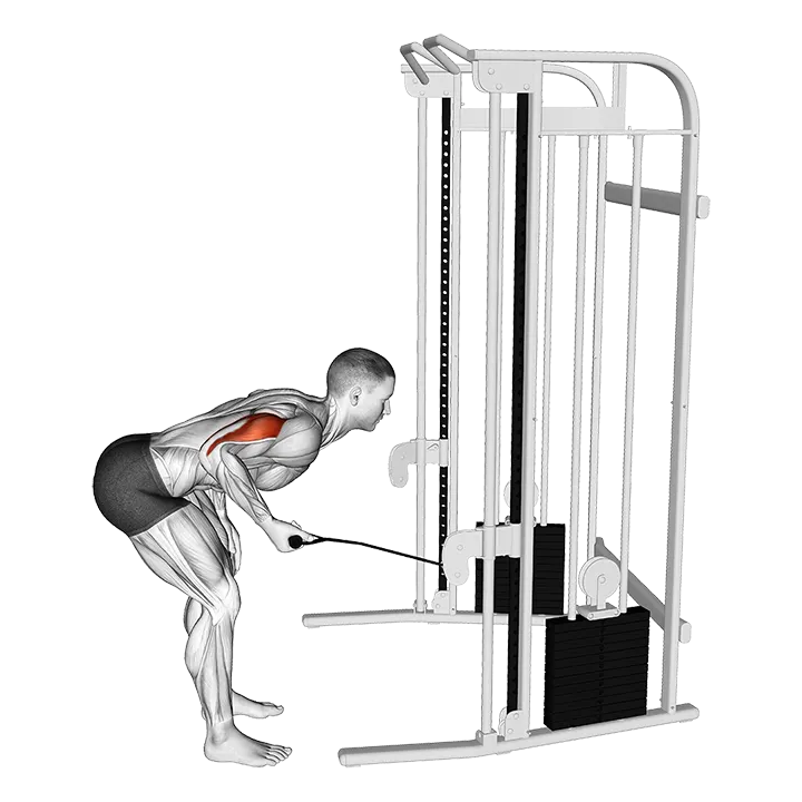 Cable kickback exercise animation (Male)