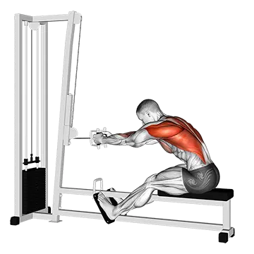 Cable seated row