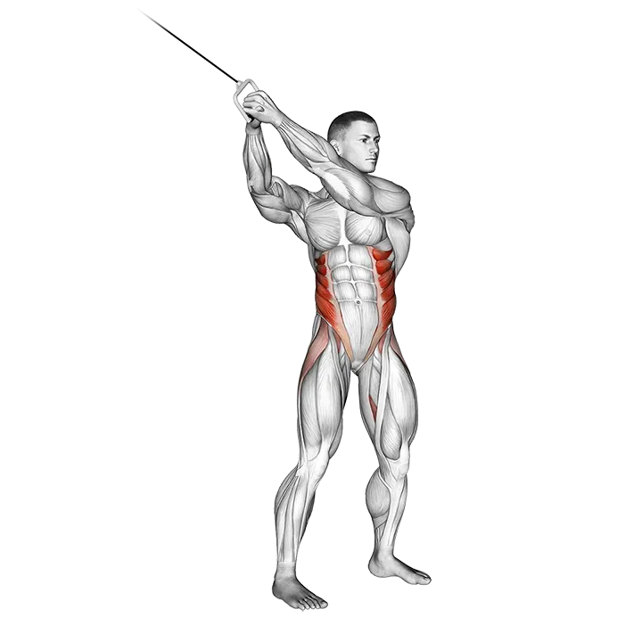 Cable twist (up-down) exercise animation (Male)