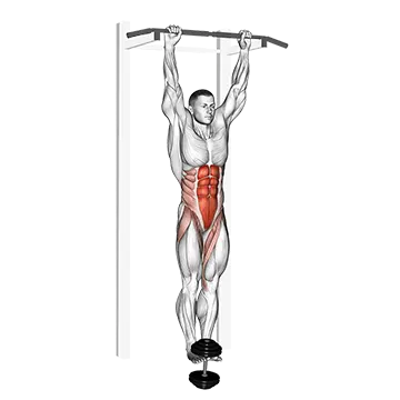 Weighted Hanging leg-hip raise