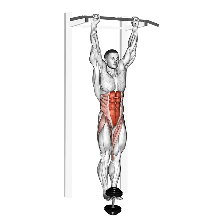 Weighted Hanging leg-hip raise exercise animation (Male)
