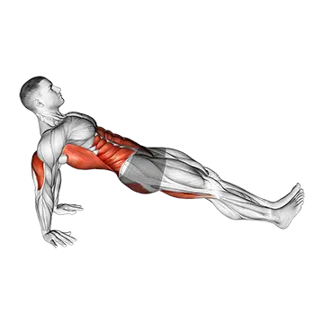 Reverse plank