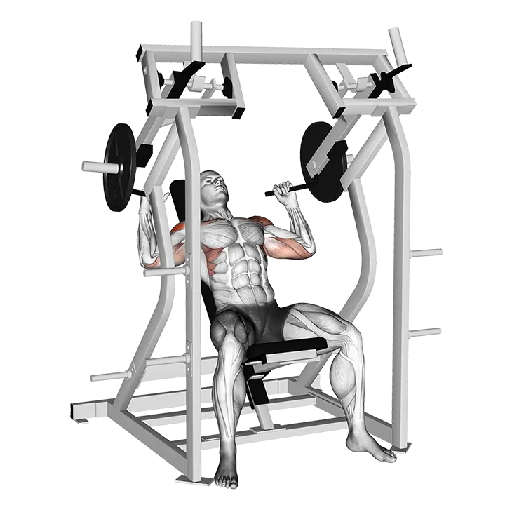 Lever Shoulder Press (plate loaded) version 2 exercise animation (Male)