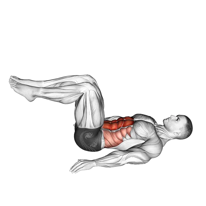 Reverse Crunch exercise animation (Male)