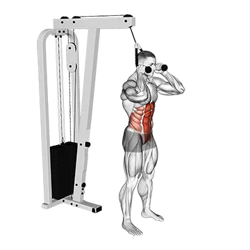 Cable Standing Crunch (with rope attachment)