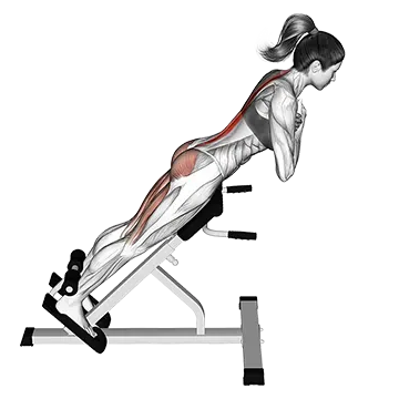 45 degree hyperextension (arms in front of chest)